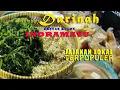Rumbah DARINIH //  TERPOPULER Di Indramayu