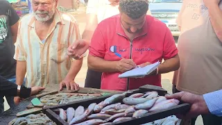 اسماك المعدية هو سوق حلقات اسماك بالجمله للاهالي والمطاعم  واسعاره اقل اسعار من قطاعي  السوق دندنها