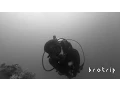 Download Lagu BroTrip | Pulau Hantu - Singapore (Clip)