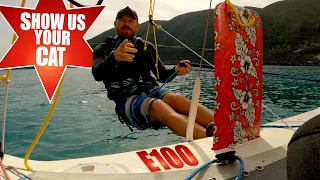 Show us your cat! Episode 100