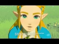 Legend Of Zelda Breath Of The Wild CAPTURED MEMORY SILENT PRINCESS