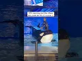 Download Lagu This Killer Whale ended a life of a trainer 😳
