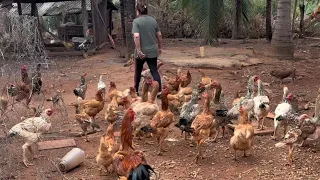 PEGANDO OVOS NA ROÇA DA MINHA MÃE ♥️ MEU PAI FEZ UMA VERDADEIRA REVOLUÇÃO 😱 FIQUEI SEM ACREDITAR!