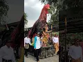 Download Lagu Ayam jago #karnaval
