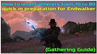 FFXIV shadowbringers How to level gatherers from 70 to 80 in preparation for Endwalker