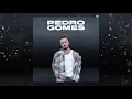 Recomeçar - Fernando Daniel (Cover by Pedro Gomes)