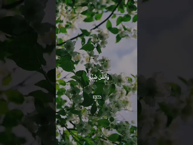 اللّـهمَّ يا منْ دلع لسان الصَّباح بنطْق تبلُّجه🤲🏻#دعاء_الصباح_لأمير_المؤمنين_عليه_السلام