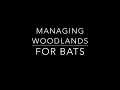 Woodland Management for Bats