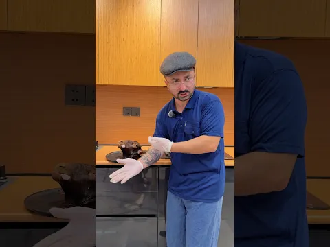 Kəllə - Paça 😂