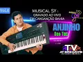 Download Lagu Anjinho dos Teclados Vol.6 CD completo áudio original da gravação de fita k7