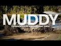 MUDDY in Florida Citrus Wildlife Management Area