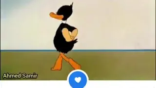 حكيم انا هنا يا ابن الحلال 