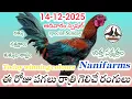 Lagu 14 December 2025 Today winning colours//Nanifarms Atoz channel//kukkutasastram telugu #colorupdate 