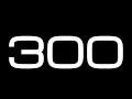 300 Second Countdown Timer NO SOUND