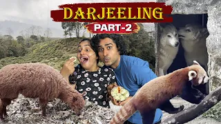 DARJEELING VLOG ⛰️ | Exploring Zoo, Street Food & Tea Garden | PART-2 🚂