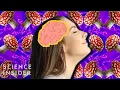 How Magic Mushrooms Affect Your Brain