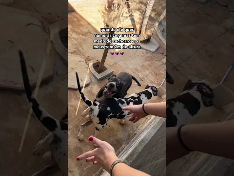 SE QUISER NAMORAR COMIGO || #SHORT || Madu De Paoli