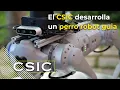 El CSIC desarrolla un perro-robot para guiar a personas dependientes o con discapacidad