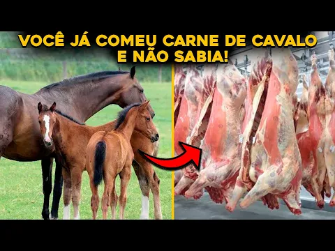 Download MP3 CONHEÇA O MAIOR FRIGORÍFICO DE CAVALOS DO BRASIL - INACREDITÁVEL!