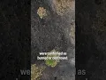 Aerial views of destruction left by Spokane Complex Fires