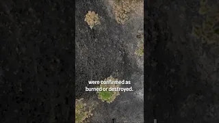 Aerial views of destruction left by Spokane Complex Fires