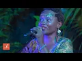 Download Lagu Contemporary Zanzibar (Zanzibar)