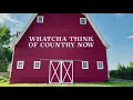 Morgan Wallen - Whatcha Think Of Country Now