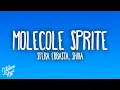 Download Lagu Sfera Ebbasta, Shiva - MOLECOLE SPRITE