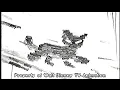 DELETED SCENE In The Outlands - The Lion King II Simba s Pride
