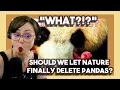 What Should We Let Nature Finally Delete Pandas by Casual Geographic