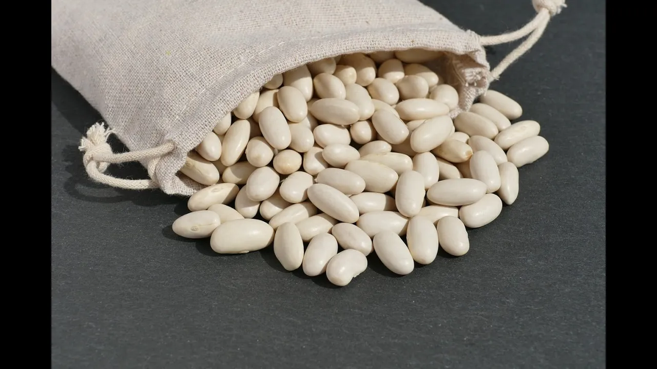 Bangladeshi Mouthwatering Tuscan Bean Soup Recipe – Shahed007