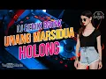 Lagu Dj Batak Remix UNANG MARSIDUA HOLONG Terbaru 2024 (Si Gardo Remix)