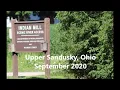Indian Mill Park - Upper Sandusky Ohio