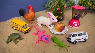 Animal Wala Cartoon Video