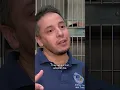 Chicago Animal Care and Control faces crisis amid surge in pet surrenders