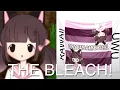 Meowbahh started a SEXUALITY