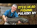 Experience the RUSH of Steelhead Fly Fishing in Pulaski NY 2024