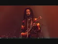 Julian Marley  " Heathen "  Live Africa Festival (2011)