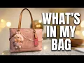 What s In My Bag Coach Powder Pink Station Tote