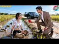 Download Lagu The Female CEO Was Betrayed and Kicked Out by Her In-Laws, Then a Hidden Billionaire Married Her