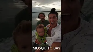 The Ocean GLOWS in Vieques ✨