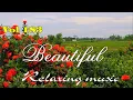 Download Lagu New relaxing instrumental music, Beautiful melody beautify your soul and relieves stress, vol 183