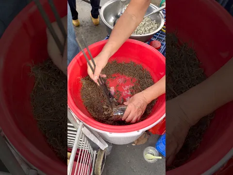 ทำไมคนรุมซื้อเยอะ???!!! แมงป่องชั่งขีดที่ประเทศจีน‼️😱🇨🇳⚠️🤮