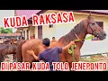 Download Lagu PASAR KUDA | KUDA RAKSASA BIG HORSE DI PASAR KUDA JENEPONTO | PASAR KUDA PART 100