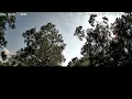 West Monroe Weather Timelapse Today s Conditions