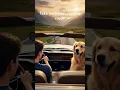 Download Lagu #takemehomecountryroads #countryroads #johndenver #musicvibes #countrymusic #feelgoodmusic