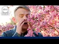 Patel it like it is How to combat seasonal allergies ABCNL