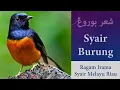 Lagu Syair Burung - Ragam Irama Syair Melayu Riau