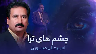 اجرای آهنگ چشم های ترا وقتیکه به خواب میبینم توسط امیرجان صبوری 