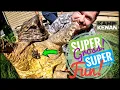 We Solved a Leach problem at Garden State Tortoise